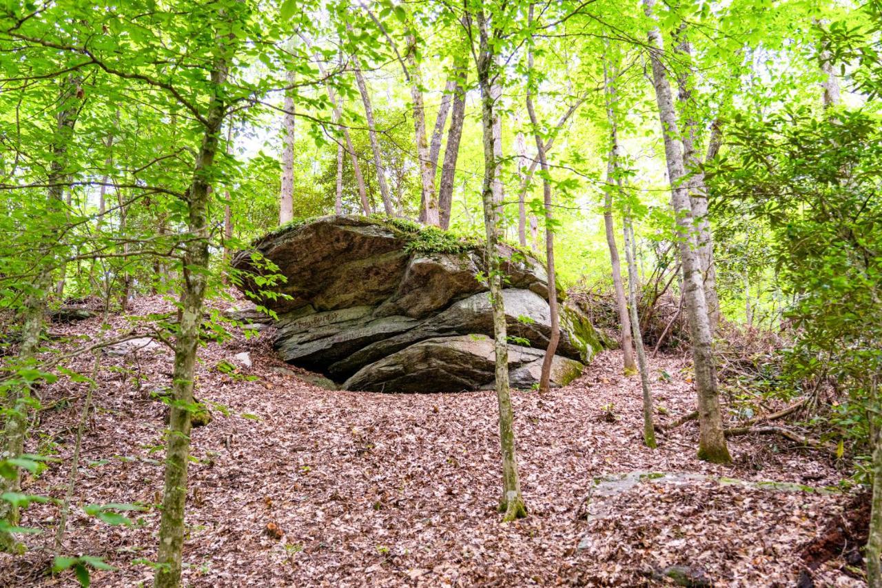 Foggy Bottom Cabins Pisgah Forest Exterior photo